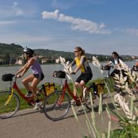 Radreise Donau