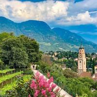 Malerischer Blick auf eine Alpenstadt mit terrassierten Weinbergen im Vordergrund, historischem Glockenturm und dramatischer Bergkulisse.