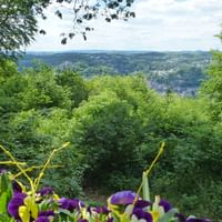 Panoramablick von erhöhter Position auf das Lahntal mit dichtem grünen Wald. Lila Blüten im Vordergrund rahmen die malerische Aussicht ein.