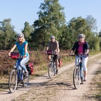 Bike Tour Lüneburger Heide
