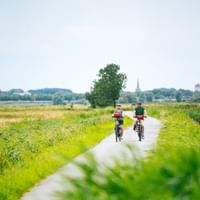 Zwei Radfahrer fahren auf einem asphaltierten Weg durch die grüne ostfriesische Landschaft mit Feldern, Bäumen und einem Kirchturm in der Ferne.