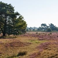 Radtour Lüneburger Heide