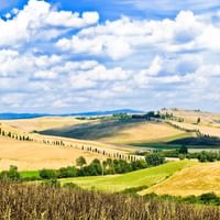 Panoramic view of Tuscan countryside with golden rolling hills, rows of dark cypress trees, and scattered farmhouses under a blue sky with clouds.
