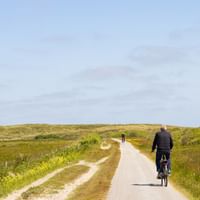 Radfahrer auf asphaltiertem Weg durch grüne Dünenlandschaft auf Terschelling mit sanften Hügeln und bewölktem Himmel im Hintergrund.