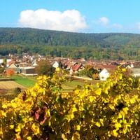Radreise Elsass