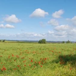 Bike Tour Baltic Coast