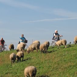 Bike Tour Elbe-Radweg North