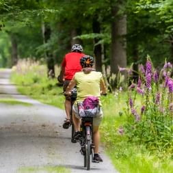Zwei Radfahrer auf einem von Bäumen gesäumten Weg mit lila Wildblumen. Einer trägt eine rote Weste, der andere ein gelbes Shirt mit Taschen.