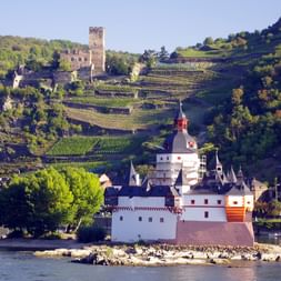 Radurlaub am Rhein-Radweg