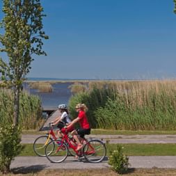 Radurlaub Neusiedlersee