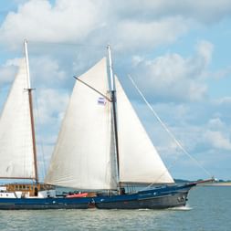 Wapen fan Fryslan