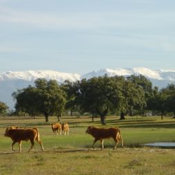 Radurlaub Spanien