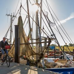 Hanse-Rundtour Küste
