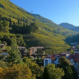 Panoramablick auf Brixen mit terrassierten Weinbergen an Hängen, Wohngebäuden mit roten Dächern und Bergen im Hintergrund unter blauem Himmel.