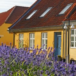 Radurlaub Bornholm