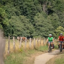 Zwei Radfahrer in grünen und roten Shirts fahren auf einem Feldweg durch die Landschaft mit Holzzaun, weidenden Kühen und dichtem Wald.