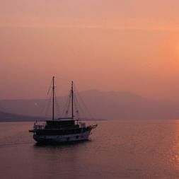Sailing ship Dalmatino