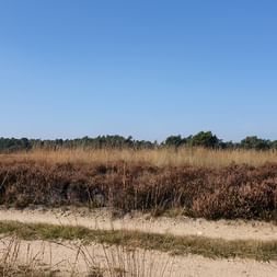 Radreise Veluwe Reisebericht