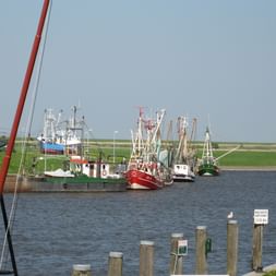 Radreise Ostfriesland Inseln