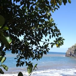 Fahrradreisen Madeira