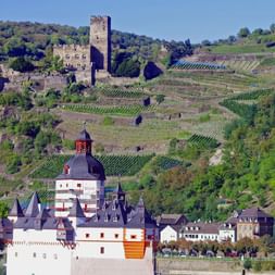 Bike Tour Rhine