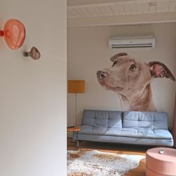Modernes Hotelzimmer in Kampen mit grauem Schlafsofa, Hundeportrait-Wandkunst, dekorativen Hut-Wandbehängen und rosa Hocker.