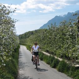 Radreisen Reschensee