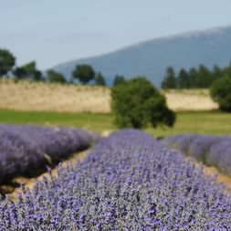 Radreise Provence