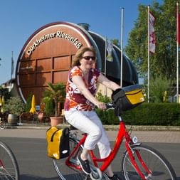 Bike Tour Pfalz