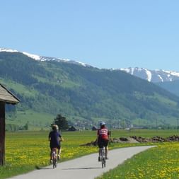 Radreisen Mur Radweg