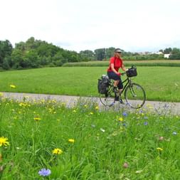 Radurlaub Pfalz Sternfahrt