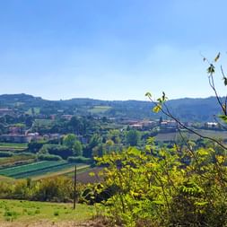 Malerischer Blick auf das Pistoia-Tal in der Toskana mit sanften Hügeln, verstreuten Gebäuden, Feldern und grüner Vegetation.
