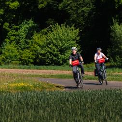 Zwei Radfahrer mit Helmen und roten Taschen fahren auf asphaltiertem Weg durch grüne Landschaft im Weserbergland mit Feldern und Wald.