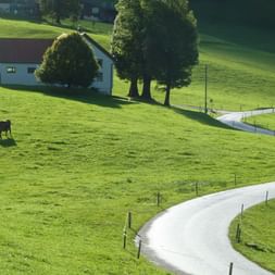 Radreisen Schweiz