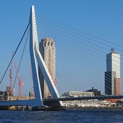 Rotterdam