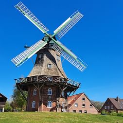 Traditionelle Windmühle im holländischen Stil mit weißen und grünen Flügeln vor blauem Himmel in Bad Bederkesa, umgeben von Wohnhäusern.