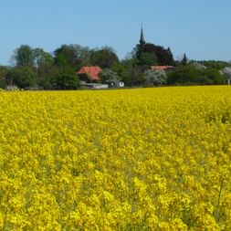 Radreise Müritz Sternfahrt