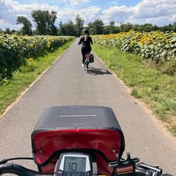 Blick vom E-Bike-Lenker auf Radfahrer vor einem auf Weg zwischen Sonnenblumenfeldern unter blauem Himmel mit weißen Wolken.