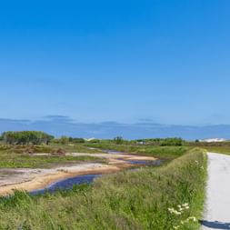 Radfahrer mit Packtaschen auf asphaltierter Straße durch Terschelling-Landschaft mit Wasserkanälen, grüner Vegetation und blauem Himmel.