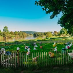 Schar weißer und grauer Gänse in holzumzäuntem Gehege auf grünem Gras nahe der Weser in Höxter, mit Bäumen und blauem Himmel im Hintergrund.