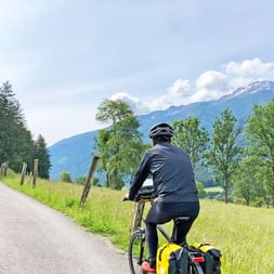 Radfahrer mit gelben Packtaschen fährt bergauf auf asphaltierter Straße durch grüne Almwiesen mit schneebedeckten Bergen im Hintergrund.