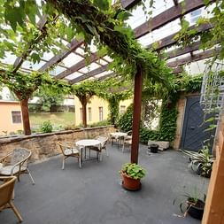 Überdachte Terrasse mit weinbewachsener Pergola in der Schlossschänke Bautzen. Steinmauern, Bistrotische und Stühle auf grauem Boden.