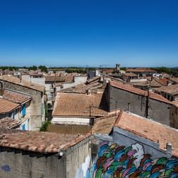 Radreisen Provence