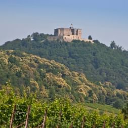 Bike Tour Pfalz