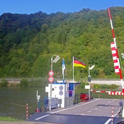 Radreise Rhein und Neckar