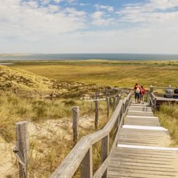 Holzsteg mit Geländer führt zu Aussichtsplattform auf Sylt. Besucher gehen entlang Pfad durch Dünenlandschaft mit sichtbarer Nordsee.