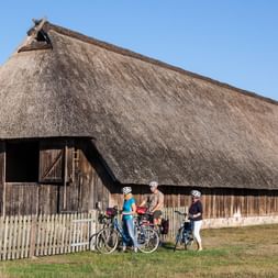 Bike Tour Lüneburger Heide
