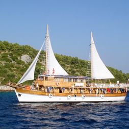 Sailing ship Aneta