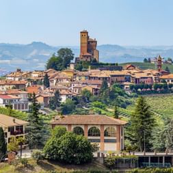 Bergdorf Montforte mit mittelalterlichem Turm, umgeben von terrassierten Weinbergen und sanften Hügeln im Piemont, Italien.