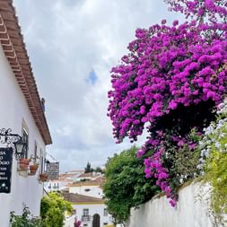 Enge Kopfsteinpflasterstraße in Óbidos mit weißen Gebäuden, blauen Akzenten und leuchtend lila Bougainvillea-Blüten über den Mauern.